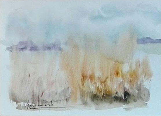 AQUAREL·LA